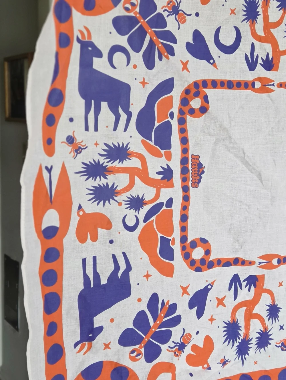Funky Western Desert Cotton Bandanas (2)